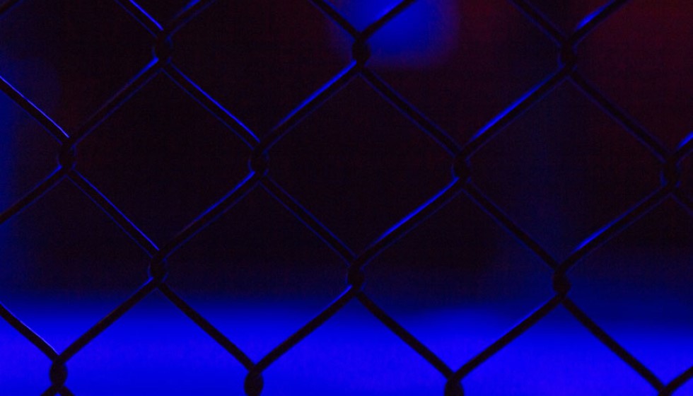 Ronda Rousey Reveals Neurological Damage and Decision to Retire from MMA